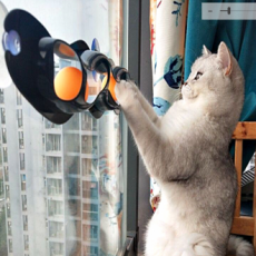 cat toy cat toy