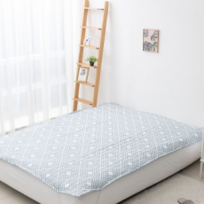 Azam Allergy Care Dust-Free Waterproof Pad S/SS