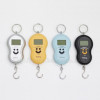 Portable Hand Scale Fishing Personal Hanging Scale Travel