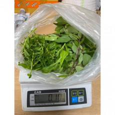 Rau nem Raunem set 100g (que +ngo gai +ngo om) / Asia Farm Song So-hee